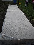SDC10123.JPG
