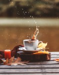 eclaboussures-cafe-plein-air-composition-automne-plein-air-automne-tasse-cafe-chaud-plein-air_157947-585.jpg