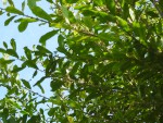 DSCN3822.JPG