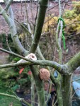 les bouchons pour séparer les branches qui se croisent