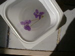 DSCF0270.JPG
