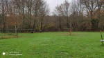 IMG_20211212_105652.jpg