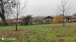 IMG_20211212_105902_1.jpg