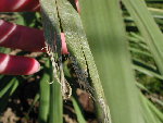 DSCN2170.JPG