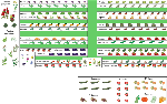 Le plan de mon potager pour 2009