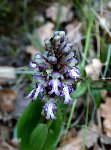 DSC00880.JPG