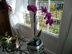 P1000034.JPG