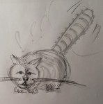 IMG_20220118_084050.jpg