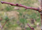 20220122_102819.jpg
