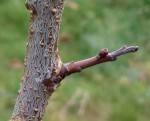 20220122_102631.jpg