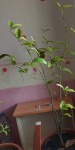 20220122_113002.jpg