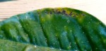 IMG_20220127_183751.jpg