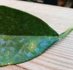 IMG_20220127_130625.jpg