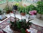 P1060072.JPG