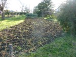 ParcellePotager.JPG