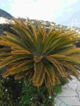 Compress_20220306_114255_5761.jpg