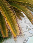 Compress_20220306_114254_4063.jpg