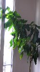 P1050731.JPG