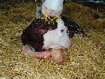 DSC05028.jpg