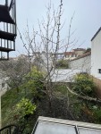 IMG_1640.jpg
