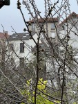 IMG_1641.jpg