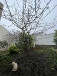 IMG_1647.jpg