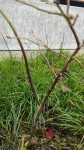 IMG20220313120722.jpg