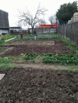 IMG_20220316_160047.jpg