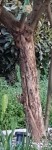 20220323_082440.jpg