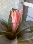 Image9.jpeg