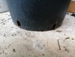 IMG_20220324_173804.jpg