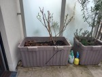 bac lilas indes.jpg