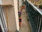 photos forum 009.jpg