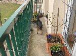 photos forum 011.jpg