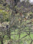 IMG_1028.JPG