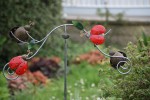DSC04880.jpg
