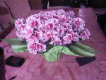 SP_A0165.jpg
