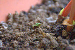 580825_03_2009Estelle.CR2.jpg