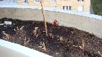 DSC02281.JPG