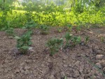 IMG_20220520_193925-min-compressed.jpg