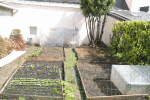potager en carrés.gif