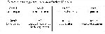 plan2009.JPG