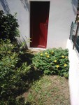 IMG_20220526_120358-1.jpg
