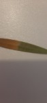 20220603_180002.jpg