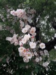 20_20220603_100941.jpg