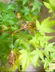 IMG_20220622_085934.jpg