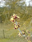 DSC00552.jpg