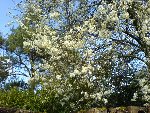 DSC00568.jpg