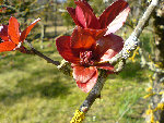 DSC00569.jpg