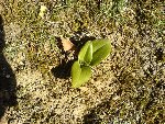 DSC00555.jpg